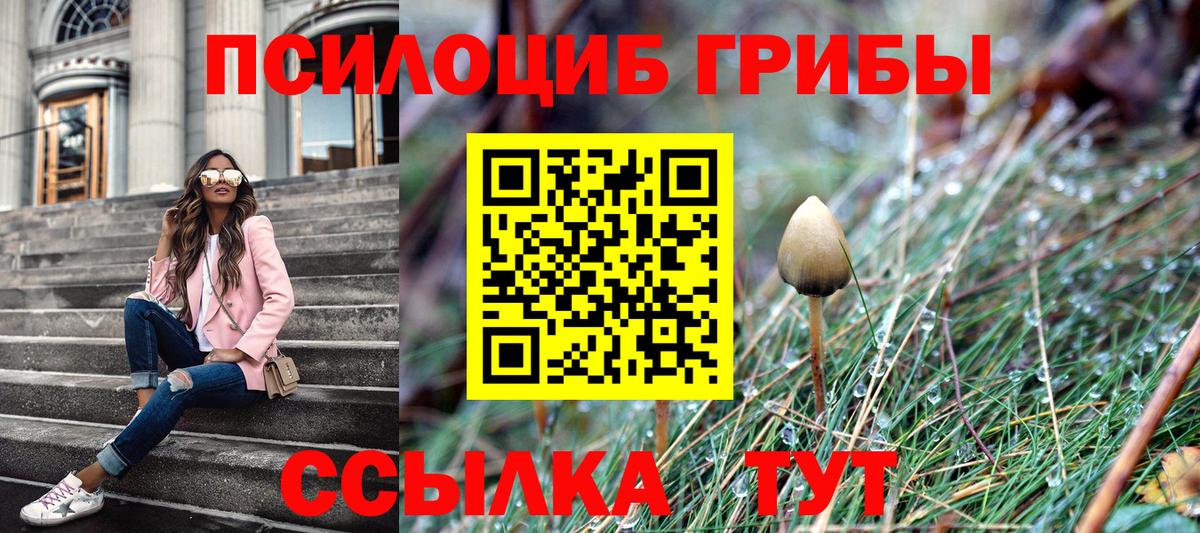 Галлюциногенные грибы GOLDEN TEACHER  Вход с VPN  Киселёвск 